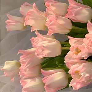 Meet your Posher, Leslie